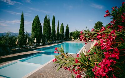 Fattoria Fronzano: L'Eau, Fleur, Ciel, Nuage, Plante, Propriété, Piscine, Arbre, Paysage Naturel, Arecales