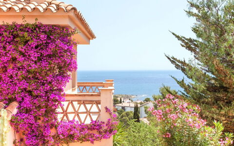 Niviroma: Bougainvillea, Fleur, Rose, Propriété, Plante, Ciel, Printemps, Maison, Été, Immobilier