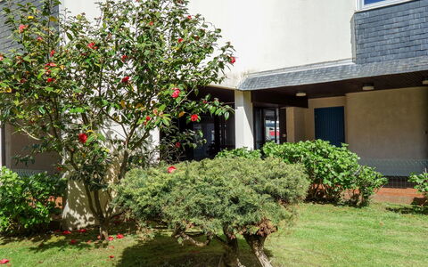 Quiberon 221: Arbre, Propriété, Fleur, Plante, Maison, Jardin, Domicile, Cour, Immobilier, Botanique