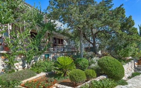 Martina: Propriété, Immobilier, Arbre, Végétation, Maison, Jardin, Domicile, Plante, Cour, Bâtiment
