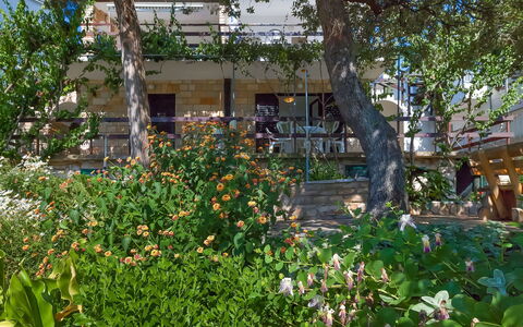 Martina: Fleur, Plante, Bâtiment, Propriété, Fenêtre, Arbre, Feuille, Ciel, Maison, Végétation