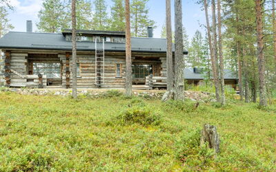 Kämmekkä B