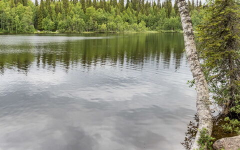 Lupporanta: Ressources En Eau, L'Eau, Plan D'Eau, La Nature, Environnement Naturel, Paysage Naturel, Cours D'Eau, Banque, Voie Navigable, Réflexion