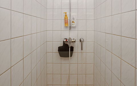 Rukanlumous 1: Mur, Salle De Bains, Sol, Tuile, Luminaire Plomberie, Plomberie, Tete De Douche, Douche