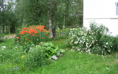 Rantala: Bois, Siding, Chalet, Maison, Domicile, Planche, Batiments Jardin, Cabane En Rondins, Dur, Porche
