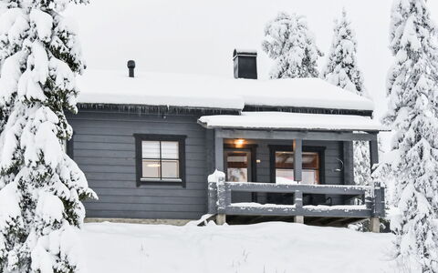 Kelkkatyttö: Bois, Siding, Chalet, Maison, Domicile, Planche, Batiments Jardin, Cabane En Rondins, Dur, Porche