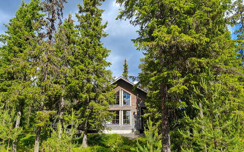 Ihtingin Koskikara: Bois, Siding, Chalet, Maison, Domicile, Planche, Batiments Jardin, Cabane En Rondins, Dur, Porche