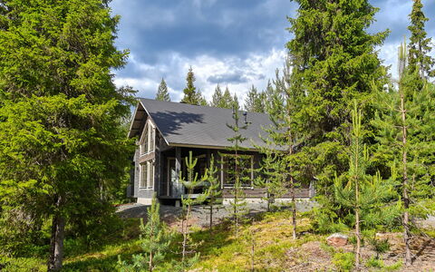 Ihtingin Koskikara: Bois, Siding, Chalet, Maison, Domicile, Planche, Batiments Jardin, Cabane En Rondins, Dur, Porche