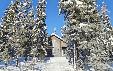 Ihtingin Koskikara: Neige, Branche, Arbre, L'Hiver, Bois, Maison, Domicile, Chalet, Gelé, Mélèze