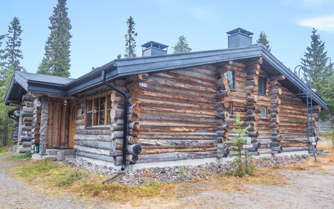 Lapinkoto: Bois, Siding, Chalet, Maison, Domicile, Planche, Batiments Jardin, Cabane En Rondins, Dur, Porche