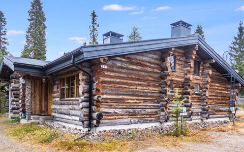 Lapinkulta: Bois, Siding, Chalet, Maison, Domicile, Planche, Batiments Jardin, Cabane En Rondins, Dur, Porche