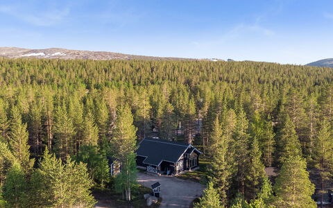 Aspilevi: Arbre, Chalet, Forêt, Des Bois, Mélèze, Cabane En Rondins, À Feuilles Persistantes, Cabane