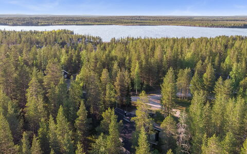 Aspilevi: Arbre, Environnement Naturel, Forêt, Paysage, Écorégion, Réserve Naturelle, Conifères Tropicale Et Subtropicale Forêts