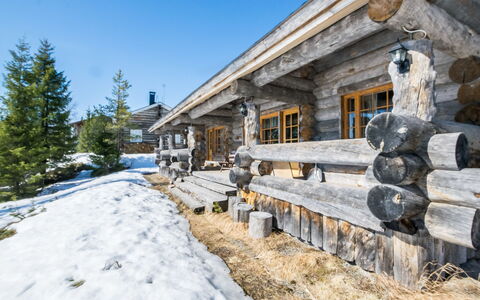 Iso-Karhu: Bois, Siding, Chalet, Maison, Domicile, Planche, Batiments Jardin, Cabane En Rondins, Dur, Porche