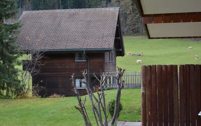 Simmental