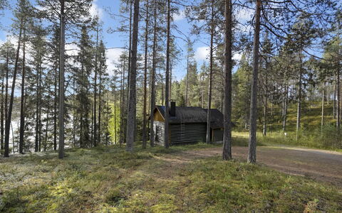 Metsämaja: Arbre, Bois, Forêt, Des Bois, Cabanon, Lot Terre, Tronc, Communauté Des Plantes, Chalet