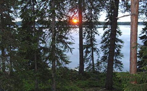 Rantapuro: Arbre, Région Sauvage, Forêt, Tronc, Des Bois, Mélèze, Nord Forest Dur, Réserve Naturelle