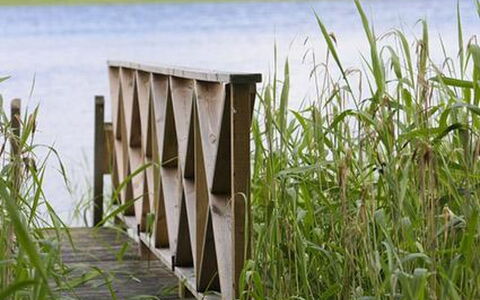Divaanikivi: Herbe, Maison, Chalet, Lot Terre, Domicile, Biens, Pelouse, Siding, Ferme, Porche