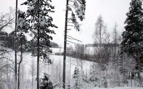 Ylähuone: Arbre, Banque, Maison, Chalet, Lac, Étang, Forêt, Cabane En Rondins