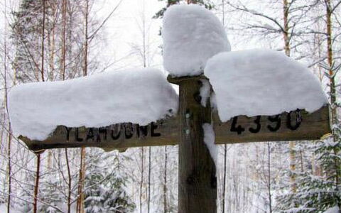 Ylähuone: Arbre, Banque, Maison, Chalet, Lac, Étang, Forêt, Cabane En Rondins