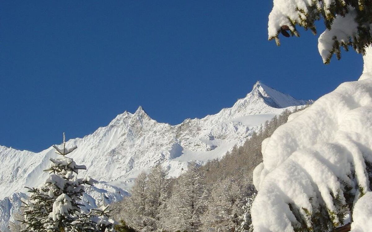 Chalet Domino