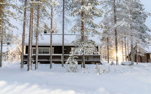 Nurmennunnu: Bois, Neige, L'Hiver, Chalet, Gelé, Domicile, Cabane En Rondins, Mélèze, Siding