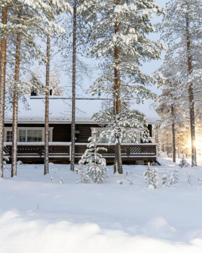 Nurmennunnu