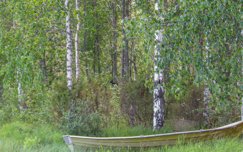 Pilkkaniemi: Chalet, Maison, Domicile, Batiments Jardin, Siding, Cabane En Rondins, Ferme, Biens, Cabanon, Cour