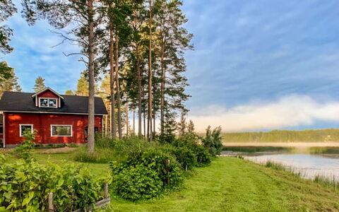 Kallioniemi: Vert, La Nature, Paysage Naturel, Paysage, Lot Terre, Banque, Chalet, Zone Rurale, Printemps