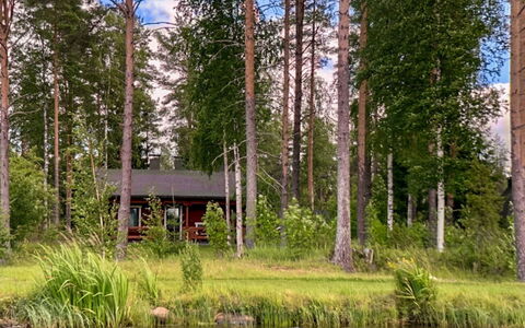 Kallioniemi: Arbre, Paysage Naturel, Banque, Forêt, Communauté Des Plantes, Des Bois, Chalet, Lac