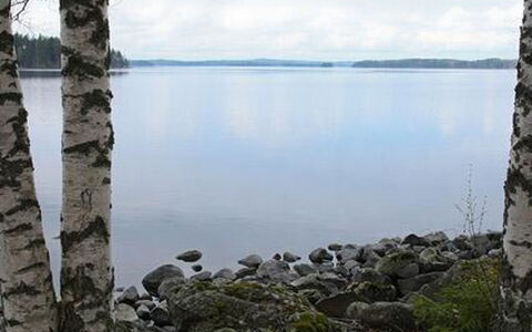 Mäntyniemi: Arbre, Banque, Maison, Chalet, Lac, Étang, Forêt, Cabane En Rondins