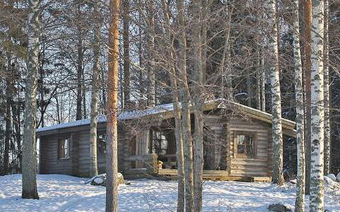 Mäntyniemi: Arbre, Banque, Maison, Chalet, Lac, Étang, Forêt, Cabane En Rondins
