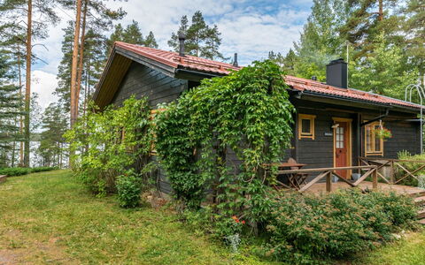 Metsä-Iivari