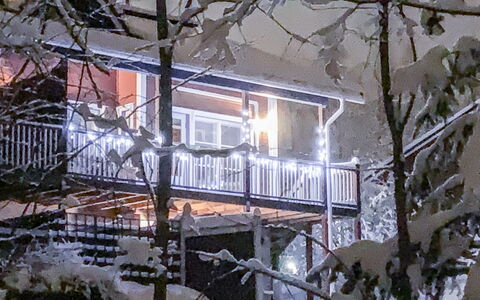 Tintintupa: Arbre, Banque, Maison, Chalet, Lac, Étang, Forêt, Cabane En Rondins
