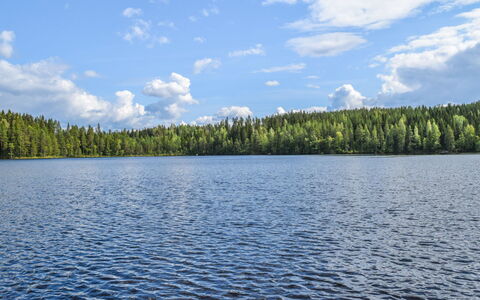 Lekojärven Herra: Chalet, Maison, Domicile, Batiments Jardin, Siding, Cabane En Rondins, Ferme, Biens, Cabanon, Cour