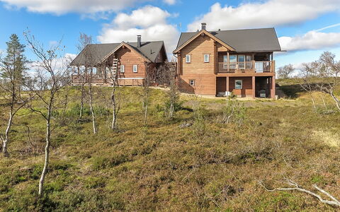 Villa Kaiku: Bois, Chalet, Cabane En Rondins, Forêt, Cabanon, Batiments Jardin, Mélèze, Des Bois, Tache De Bois