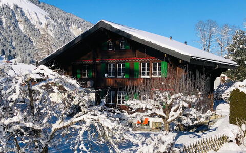 Träumli: Ciel, Neige, Maison, Paysage Naturel, Pente, Montagne, Bois, Paysage, Bâtiment, Plante