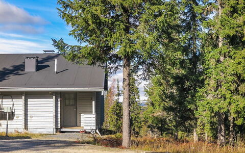 Lupposyöte B1: Voie Navigable, Banque, Cours D'Eau, Lac, Chalet, Forêt, Canal, Réservoir, Cabane En Rondins