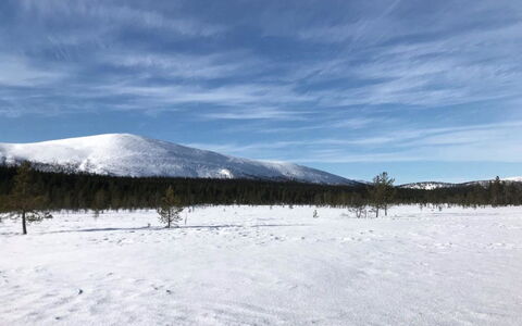 Kuukkeli: Voie Navigable, Banque, Cours D'Eau, Lac, Chalet, Forêt, Canal, Réservoir, Cabane En Rondins