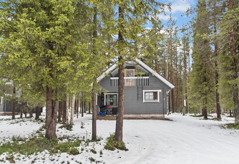Kaltiotievantie 2 Mökki 2: Arbre, Bois, Branche, Maison, Chalet, Domicile, L'Hiver, Gelé, Siding, Des Bois