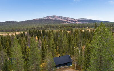 Neljä Vuodenaikaa B6