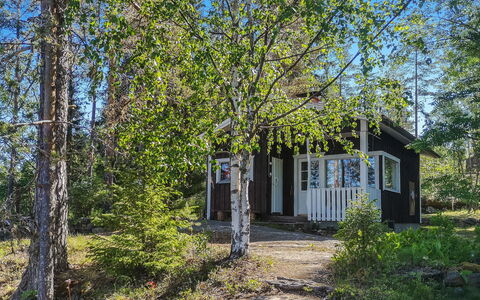 Eräkorven Kelotupa: Arbre, Feuille, Environnement Naturel, La Nature, Branche, Végétation, Chalet, Lot Terre, Des Bois, Tronc