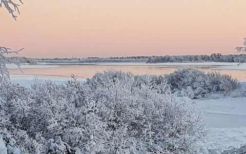 Pikkupöllö: L'Hiver, Branche, Neige, Paysage Naturel, Brindille, Gel, Gelé, La Glace