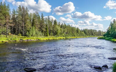 Kulpakko 1