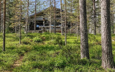 Kulpakko 2