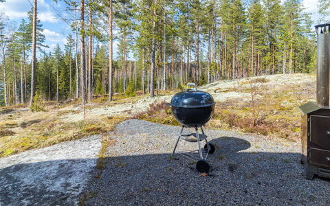 Hämyrinne: Bois, Chalet, Cabane En Rondins, Forêt, Cabanon, Batiments Jardin, Mélèze, Des Bois, Tache De Bois