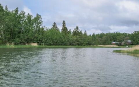 Villa Petra: Bois, Chalet, Cabane En Rondins, Forêt, Cabanon, Batiments Jardin, Mélèze, Des Bois, Tache De Bois