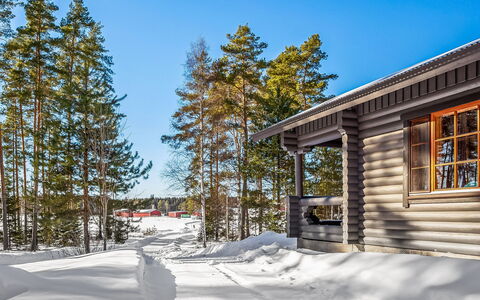 Marttalanmäki: Arbre, Neige, L'Hiver, Bois, Chalet, Gelé, Domicile, Cabane En Rondins, Mélèze