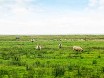 Amtoft