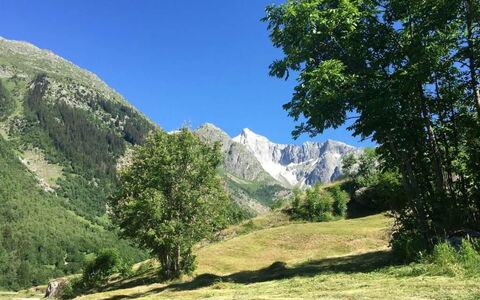 Saphir Eg Süd: Ciel, Plante, Montagne, Communauté Des Plantes, Écorégion, Paysage Naturel, Arbre, Pente, Végétation, Mélèze